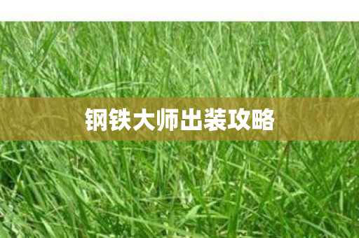 钢铁大师出装攻略图片