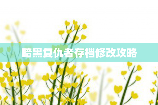 暗黑复仇者存档修改攻略图片
