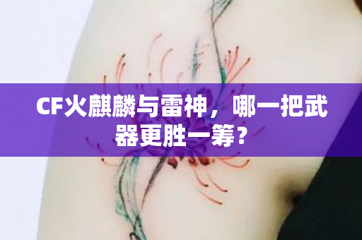 哪一把武器更胜一筹图片