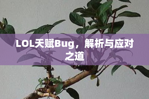 LOL天赋Bug图片