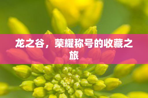 荣耀称号的收藏之旅图片