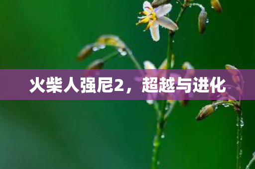 火柴人强尼2图片