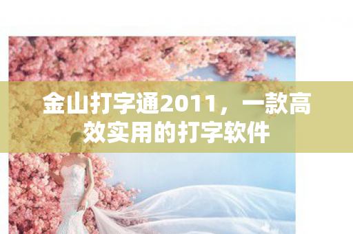 一款高效实用的打字软件图片