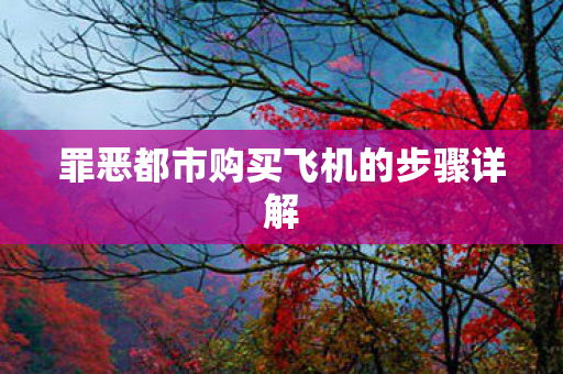 罪恶都市购买飞机的步骤详解图片