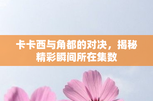 揭秘精彩瞬间所在集数图片