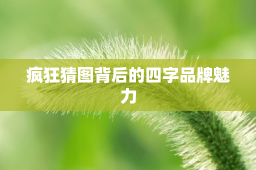 疯狂猜图背后的四字品牌魅力图片