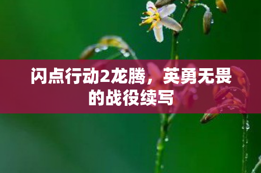 英勇无畏的战役续写图片