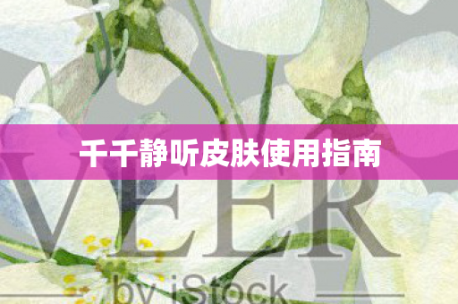 千千静听皮肤使用指南图片