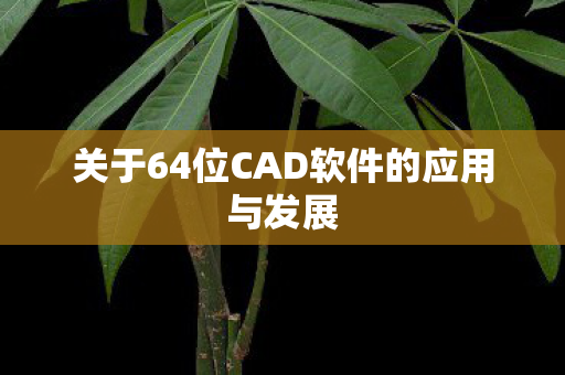 关于64位CAD软件的应用与发展图片