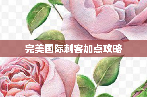 完美国际刺客加点攻略图片