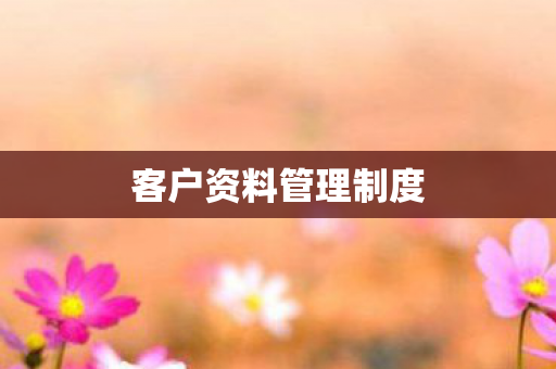 客户资料管理制度图片