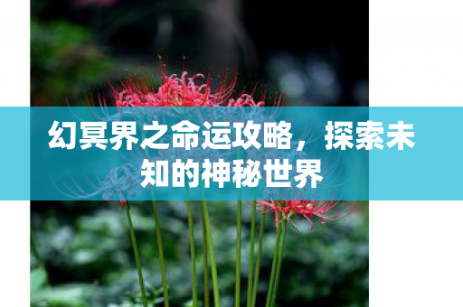 探索未知的神秘世界图片