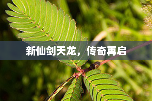 新仙剑天龙图片