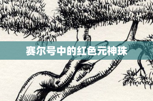 赛尔号中的红色元神珠图片
