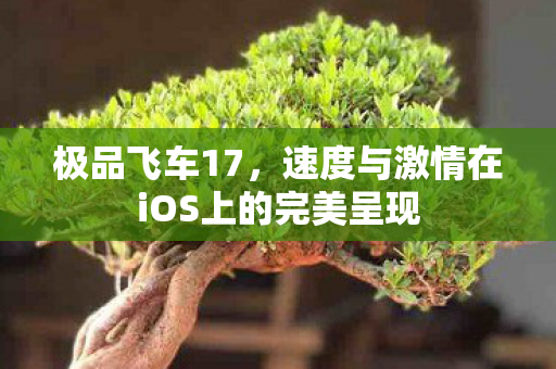 速度与激情在iOS上的完美呈现图片