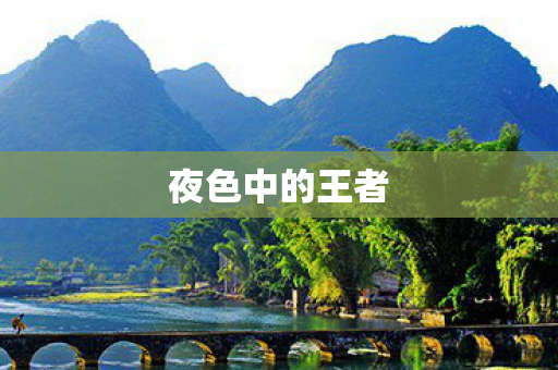 夜色中的王者图片