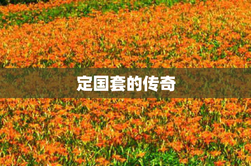 定国套的传奇图片