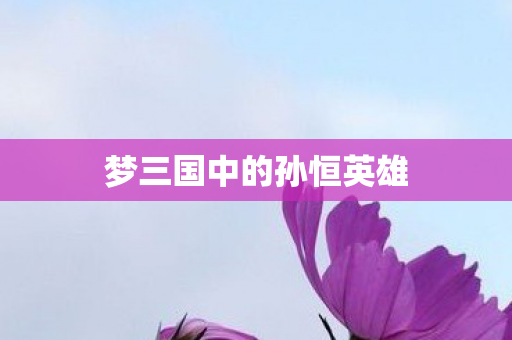 梦三国中的孙恒英雄图片