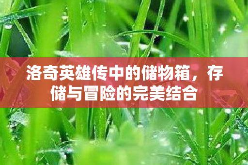 洛奇英雄传中的储物箱图片