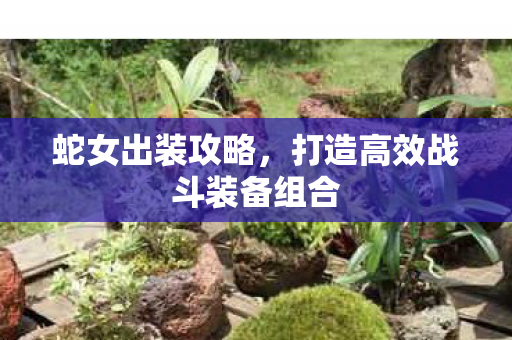 打造高效战斗装备组合图片