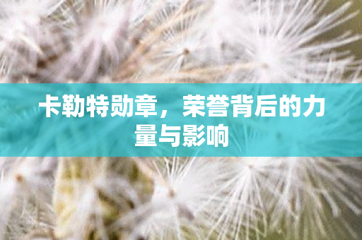 荣誉背后的力量与影响图片
