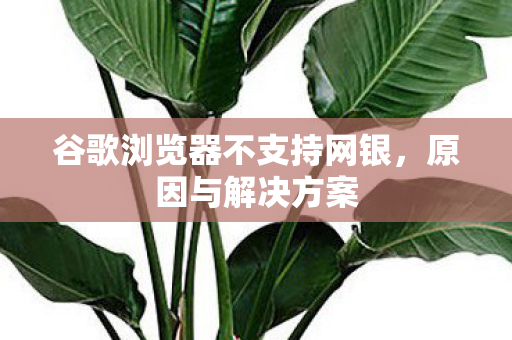 谷歌浏览器不支持网银图片