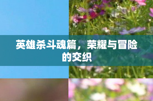 荣耀与冒险的交织图片