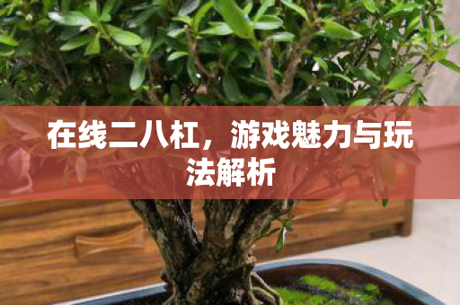 游戏魅力与玩法解析图片