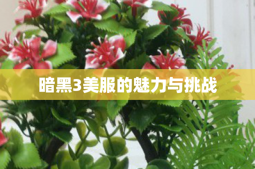 暗黑3美服的魅力与挑战图片