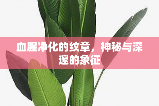 神秘与深邃的象征图片