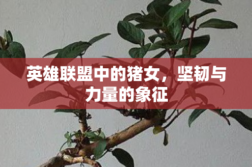 英雄联盟中的猪女图片
