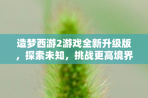 造梦西游2游戏全新升级版图片