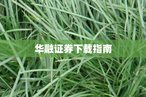 华融证券下载指南图片