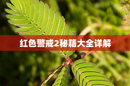 红色警戒2秘籍大全详解图片