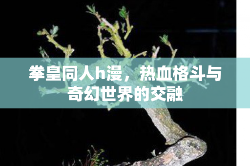 热血格斗与奇幻世界的交融图片