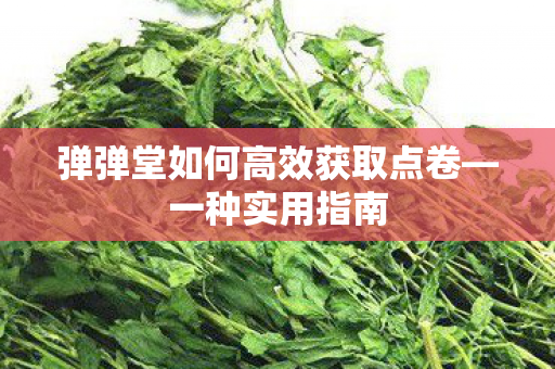 弹弹堂如何高效获取点卷图片