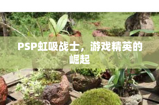 PSP虹吸战士图片