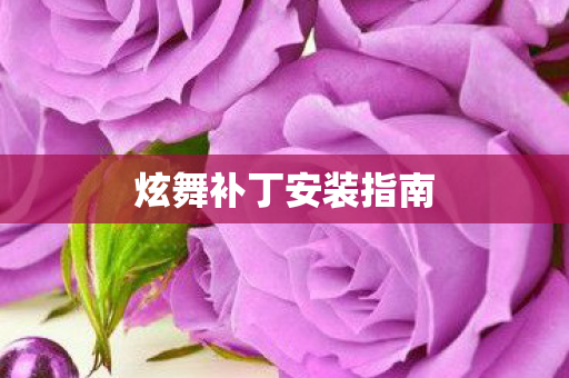 炫舞补丁安装指南图片