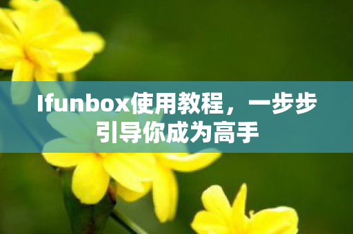 Ifunbox使用教程图片