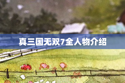 真三国无双7全人物介绍图片