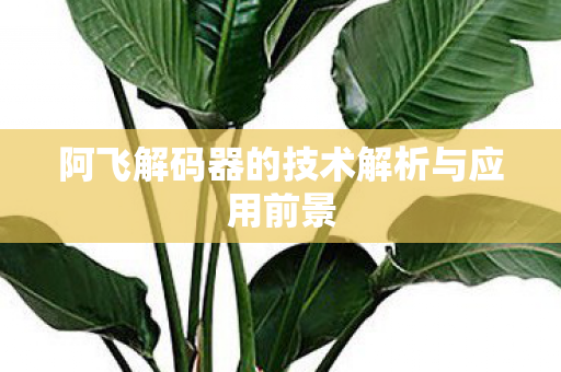 阿飞解码器的技术解析与应用前景图片