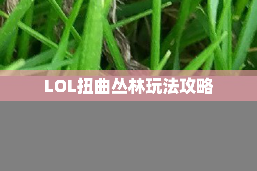 LOL扭曲丛林玩法攻略图片