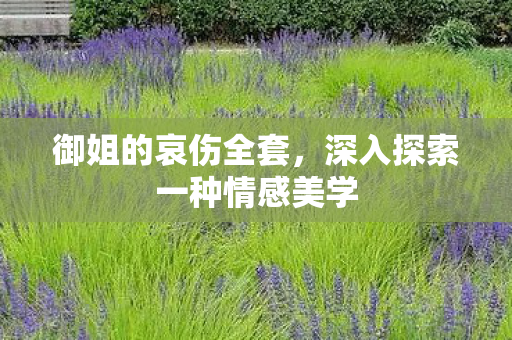 深入探索一种情感美学图片