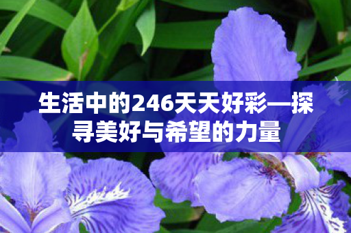 生活中的246天天好彩图片