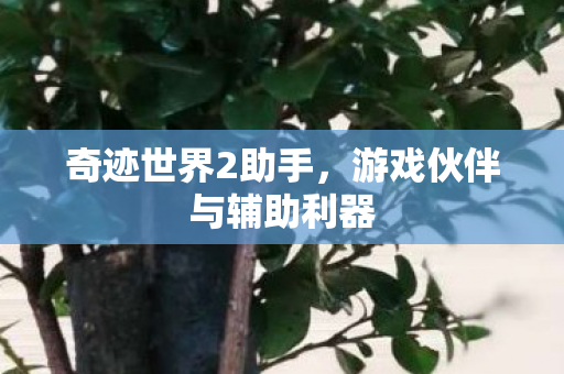 游戏伙伴与辅助利器图片