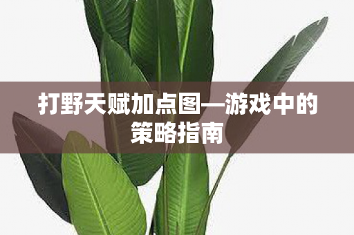 游戏中的策略指南图片