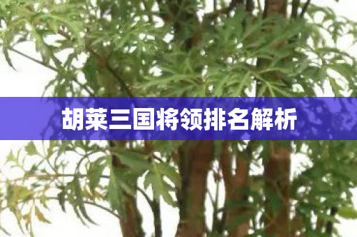 胡莱三国将领排名解析图片