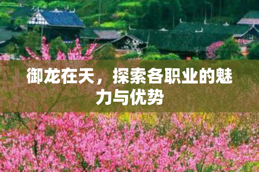 探索各职业的魅力与优势图片
