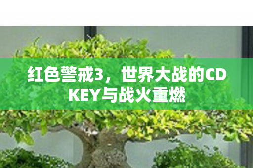 世界大战的CDKEY与战火重燃图片