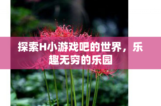 探索H小游戏吧的世界图片